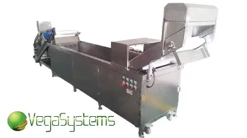 Барботажная мойка овощей и фруктов с нежной кожурой Vega BW 3400