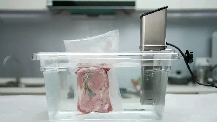 Argion sous vide immersion circulator SV130